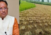 CM साय का बड़ा निर्देश, ‘अर्नब’ चक्रवात से फसल नुकसान का होगा सर्वे; जल्द मिलेगा मुआवजा