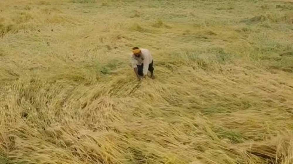 12 अक्टूबर तक पूरा होगा फसल क्षति का डिजिटल सर्वे, प्रभावित किसानों को मिलेगी नियमानुसार सहायता 12 अक्टूबर तक पूरा होगा फसल क्षति का डिजिटल सर्वे, प्रभावित किसानों को मिलेगी नियमानुसार सहायता