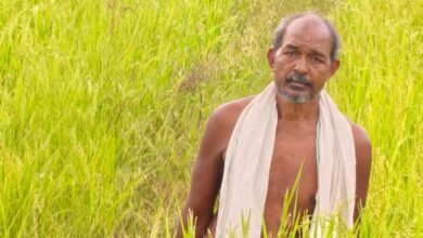 कृषक उन्नति योजना से शंकर प्रसाद की खेती को मिलेगा आर्थिक संबल, तीन एकड़ में सुगंधित धान की खेती पर मिलेंगे 45 हजार रुपये