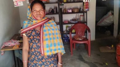 बिहान से बदल रही सरगुजा की महिलाओं की तस्वीर, हुनर और हौसले से आत्मनिर्भरता की ओर बढ़ते कदम