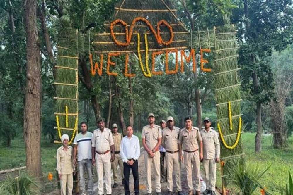 3 माह के लंबे इंतजार के बाद खुला पर्यटकों के लिए बांधवगढ़ का द्वार 3 माह के लंबे इंतजार के बाद खुला पर्यटकों के लिए बांधवगढ़ का द्वार