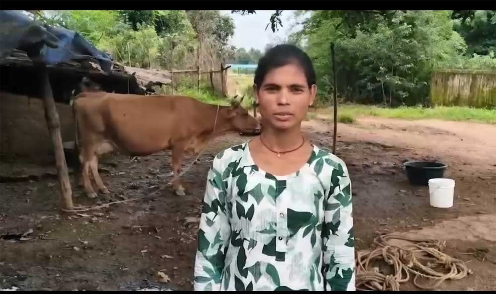 डेयरी व्यवसाय से संध्या बनीं आत्मनिर्भर, दूध की बिक्री से हर महीने हो रही 15 हजार रुपये की बचत डेयरी व्यवसाय से संध्या बनीं आत्मनिर्भर, दूध की बिक्री से हर महीने हो रही 15 हजार रुपये की बचत