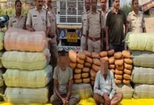 मध्यप्रदेश पुलिस की अवैध मादक पदार्थ के विरुद्ध बड़ी कार्रवाई
