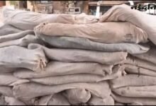 धार में गांजा तस्करी पर पुलिस की कार्रवाई, 6863 पौधे जब्त; एक गिरफ्तार, कई फरार