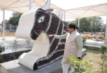 आशीर्वाद का दीया आयोजन के तहत उपयोग किए गए दीयों से बनी नंदी की भव्य आकृति