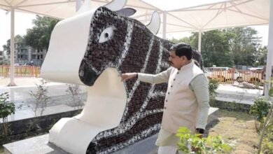 आशीर्वाद का दीया आयोजन के तहत उपयोग किए गए दीयों से बनी नंदी की भव्य आकृति आशीर्वाद का दीया आयोजन के तहत उपयोग किए गए दीयों से बनी नंदी की भव्य आकृति