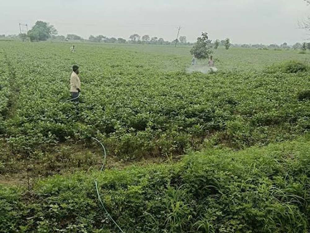 विज्ञान एवं प्रौद्योगिकी विभाग की पहल पर दो दिवसीय स्पेस एप्लीकेशंस एडॉप्शन वर्कशॉप सफलतापूर्वक संपन्न विज्ञान एवं प्रौद्योगिकी विभाग की पहल पर दो दिवसीय स्पेस एप्लीकेशंस एडॉप्शन वर्कशॉप सफलतापूर्वक संपन्न