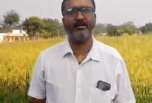 धान की जगह रागी की खेती से दिनेश को मिलेगा 10 हजार रुपये का प्रोत्साहन