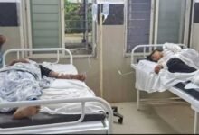 माता की मूर्ति विसर्जन यात्रा में मधुमक्खियों का हमला, मची भगदड़; 25 लोग घायल, 13 अस्पताल में भर्ती