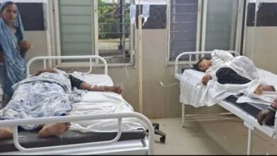 माता की मूर्ति विसर्जन यात्रा में मधुमक्खियों का हमला, मची भगदड़; 25 लोग घायल, 13 अस्पताल में भर्ती