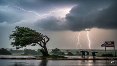 MP Weather Update: पूर्वी मध्यप्रदेश में आज भी आंधी-बारिश के आसार, भोपाल-इंदौर में खिलेगी धूप MP Weather Update: पूर्वी मध्यप्रदेश में आज भी आंधी-बारिश के आसार, भोपाल-इंदौर में खिलेगी धूप