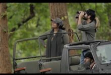 वन और वन्य जीव केवल प्राकृतिक संपदा ही नहीं, अमूल्य विरासत भी : मुख्यमंत्री डॉ. यादव