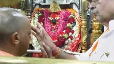 मुख्यमंत्री योगी ने विधि विधान से किया मां विंध्यवासिनी का दर्शन-पूजन मुख्यमंत्री योगी ने विधि विधान से किया मां विंध्यवासिनी का दर्शन-पूजन